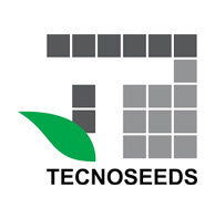 Logo 20